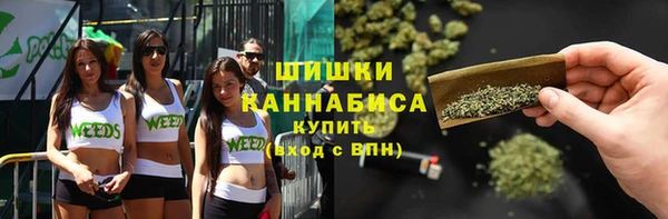 гидропоника Белоозёрский