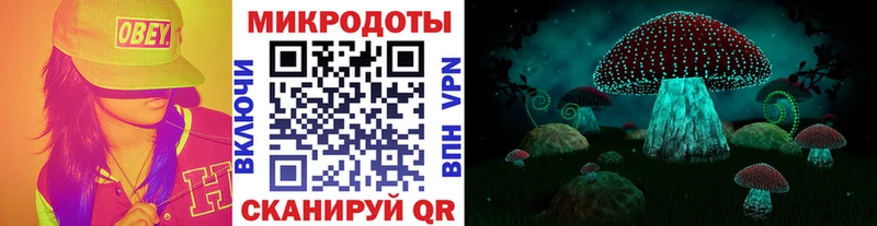 Псилоцибиновые грибы мицелий  мега ссылки  Вязники 