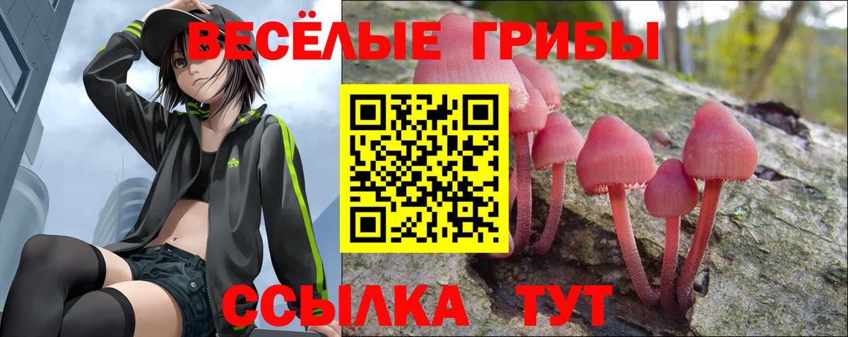 Псилоцибиновые грибы мицелий Вязники