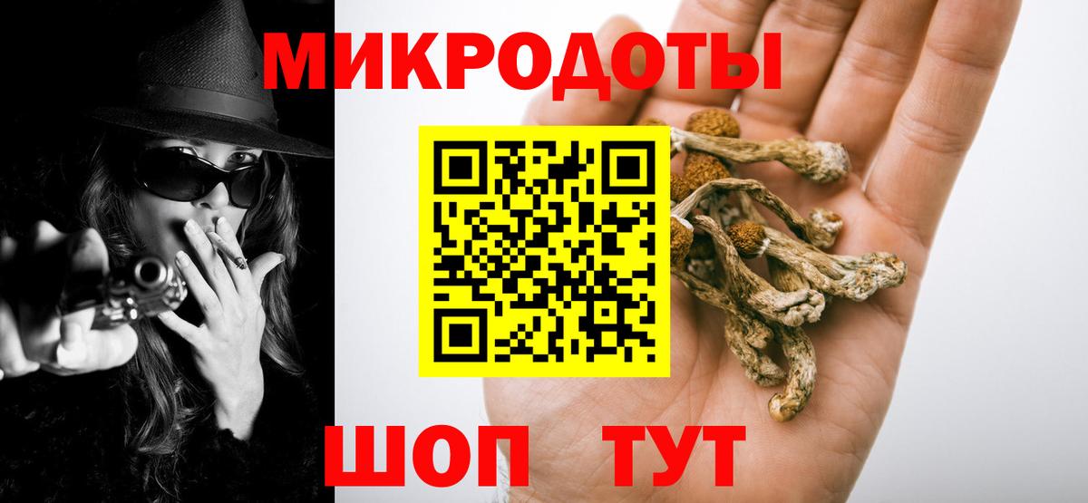 Псилоцибиновые грибы Psilocybine cubensis  Галлюциногенные грибы мицелий  Вход с VPN  Вязники 